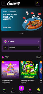 Explore the Thrills and Benefits of Casiny Casino